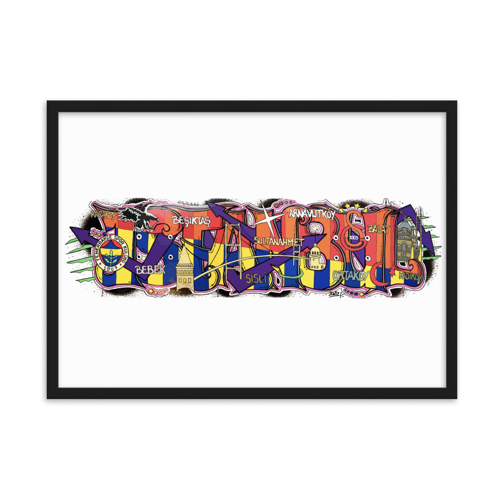 Framed Matte Paper Poster