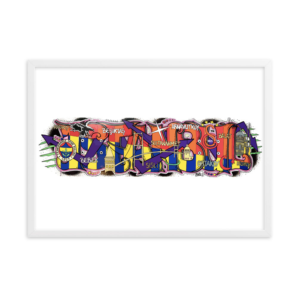 Framed Matte Paper Poster