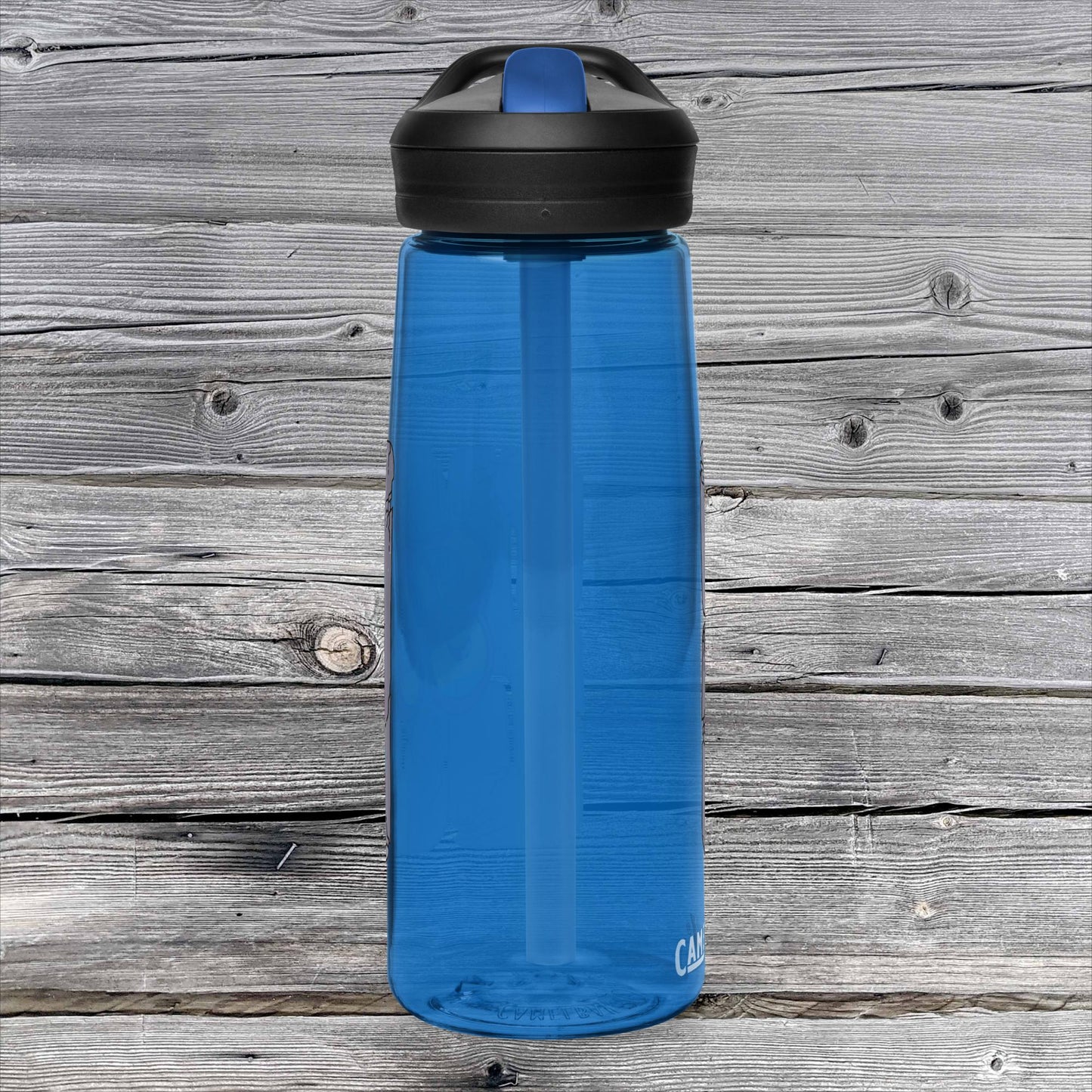 Sports water bottle