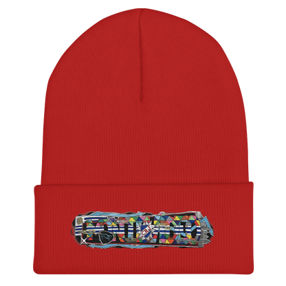 Bonnet à Revers